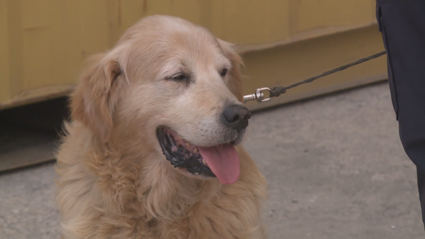 Митницата във Варна пенсионира един от най-добрите си служители –