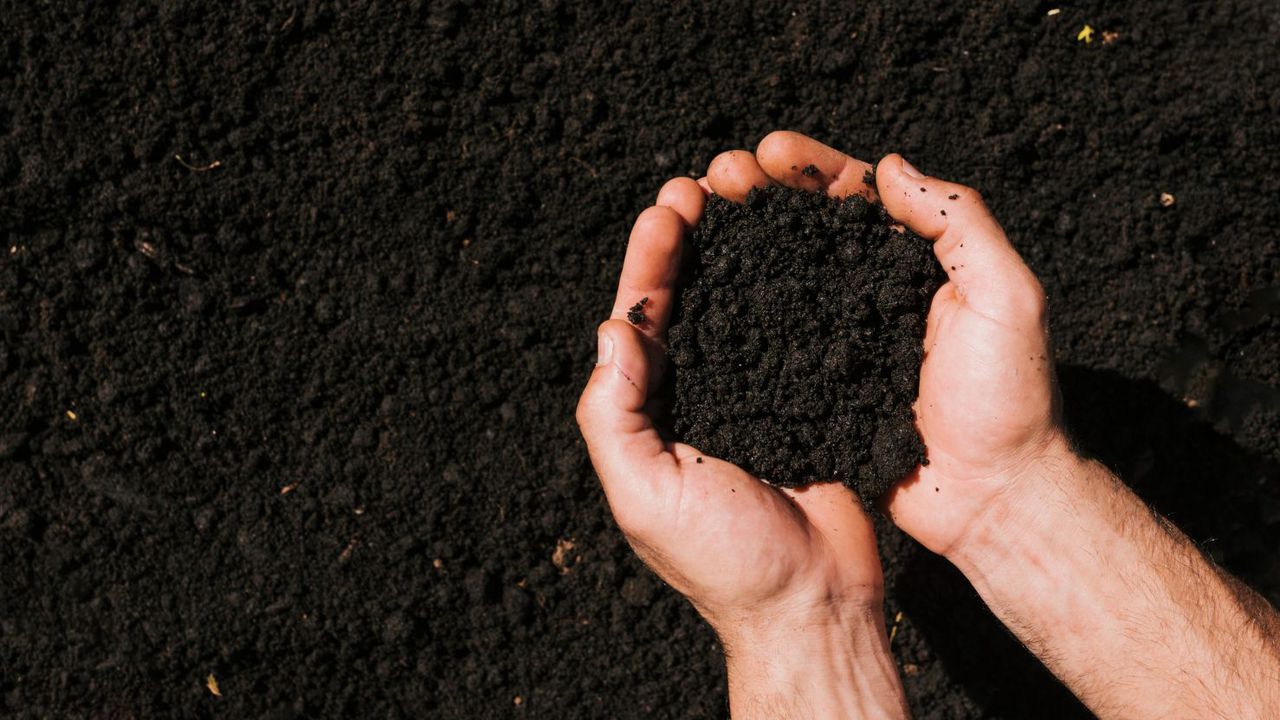 Учени откриха, че почвата има памет