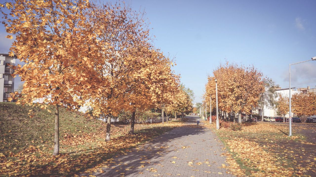 Днес ще преобладава слънчево време, с временни увеличения на облачността,
