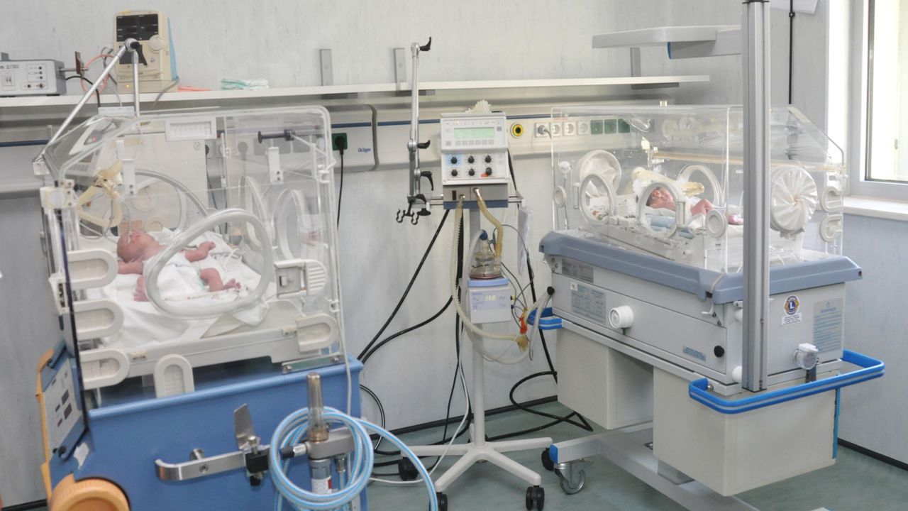 Тя добави, че това е абсолютен рекорд по брой родени