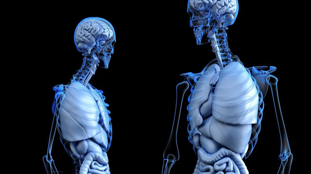 „Интернет на телата“: Как технологията поставя на изпитание човешката автономия