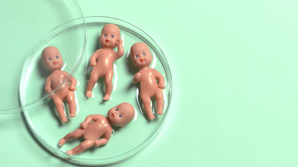 Учени създават ембриони от човешка кожа