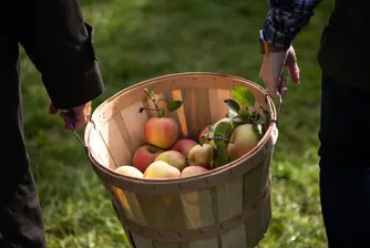 AI казва на фермерите кога е време да оберат реколтата си
