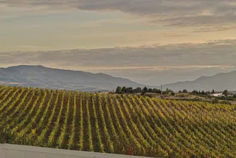 Долината на Струма кани на винен празник за Трифон Зарезан