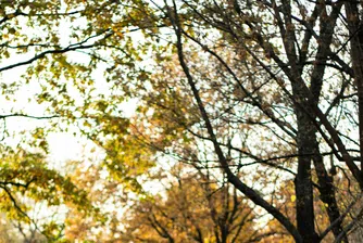 ЕС удря Delivery Hero и Glovo с €329 млн. глоба за картелни практики, Apple обжалва правилата на цифровия пазар