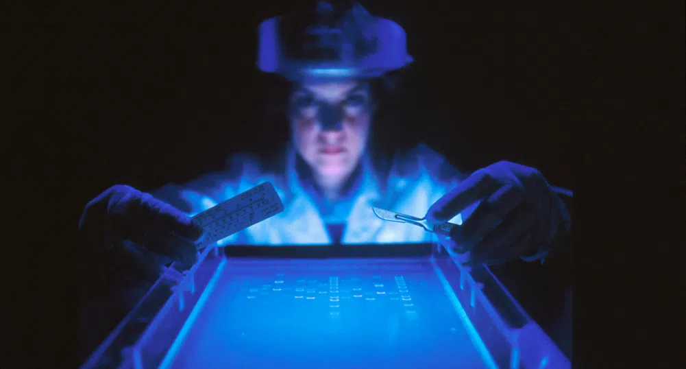 Как Тръмп предизвиква „ново Просвещение“ в Европа