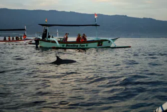 Бали иска да депортира туристи с криминално поведение