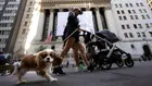Дребните инвеститори чупят рекорди на Уолстрийт