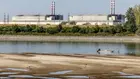 Ядрените амбиции на Европа се сблъскват с климатичните промени… и с медузите