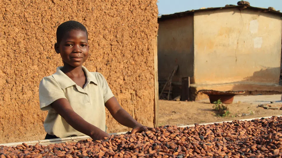 Цената на евтиното удоволствие: Шоколадът все още зависи от детския труд