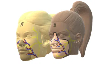 Испания извърши първата в света трансплантация на лице – от евтаназиран донор