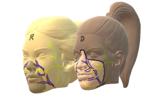 Испания извърши първата в света трансплантация на лице – от евтаназиран донор
