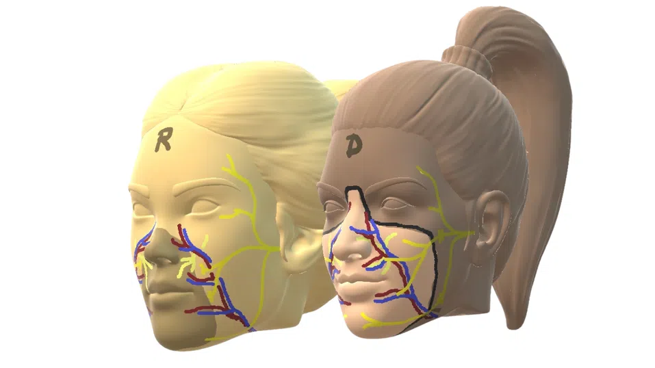 Испания извърши първата в света трансплантация на лице – от евтаназиран донор