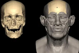 ДНК от два свята: как един обикновен грънчар разкрива древната връзка между Египет и Месопотамия