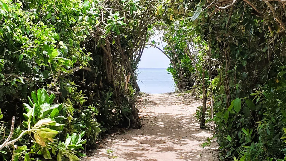 Най-дългият плаж. Как да увеличим ваканцията въпреки липсата на още отпуск и пари