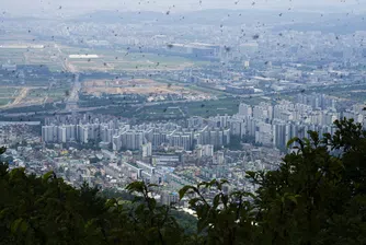 Какво се случва в Южна Корея? Сеул се бори с “любовна” епидемия от буболечки