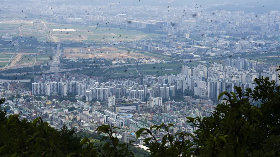 Какво се случва в Южна Корея? Сеул се бори с “любовна” епидемия от буболечки