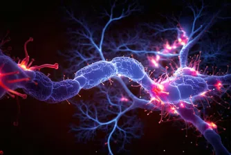 Мозъчна мрежа, свързваща ума и тялото, обещава пробив в терапията на Паркинсон