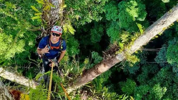 Там горе е толкова красиво и спокойно. Гледката от най-високото тропическо дърво