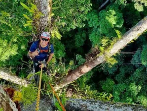 Там горе е толкова красиво и спокойно. Гледката от най-високото тропическо дърво