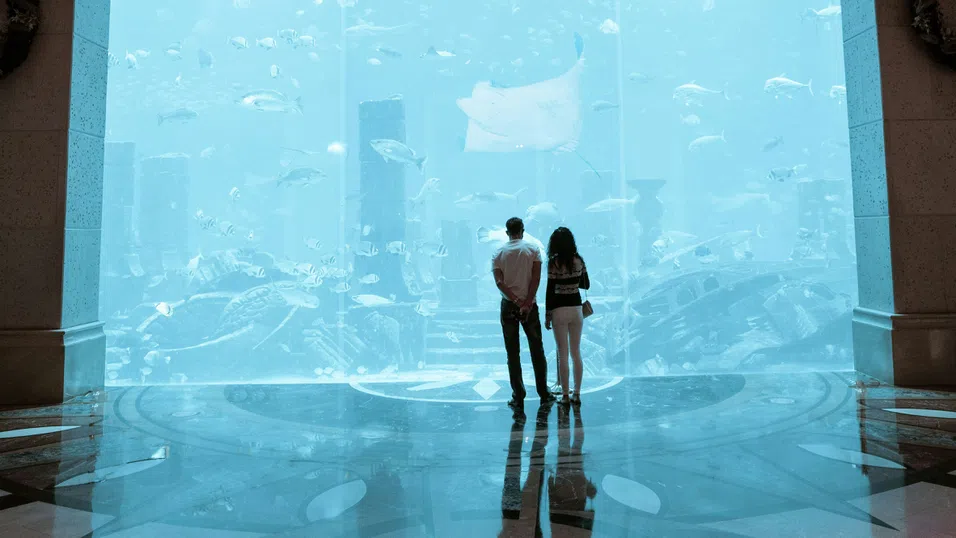 Да си голям не е достатъчно: Dubai Mall разширява мащаба си с инвестиция за $408 млн.