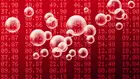 AI акциите под натиск: Broadcom повлече и азиатските технологични пазари надолу