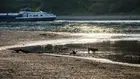 Пресъхващите реки се превръщат в икономически риск за Европа