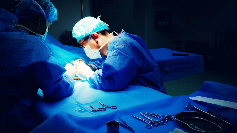 Безсмъртие чрез трансплантация на органи – възможно ли е?