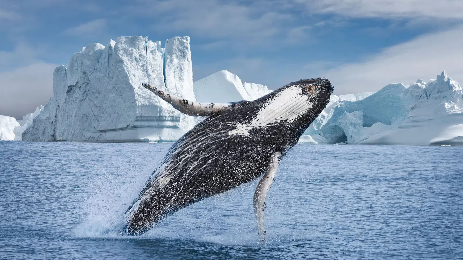 Европейските лидери от месеци се борят с въпроса как да