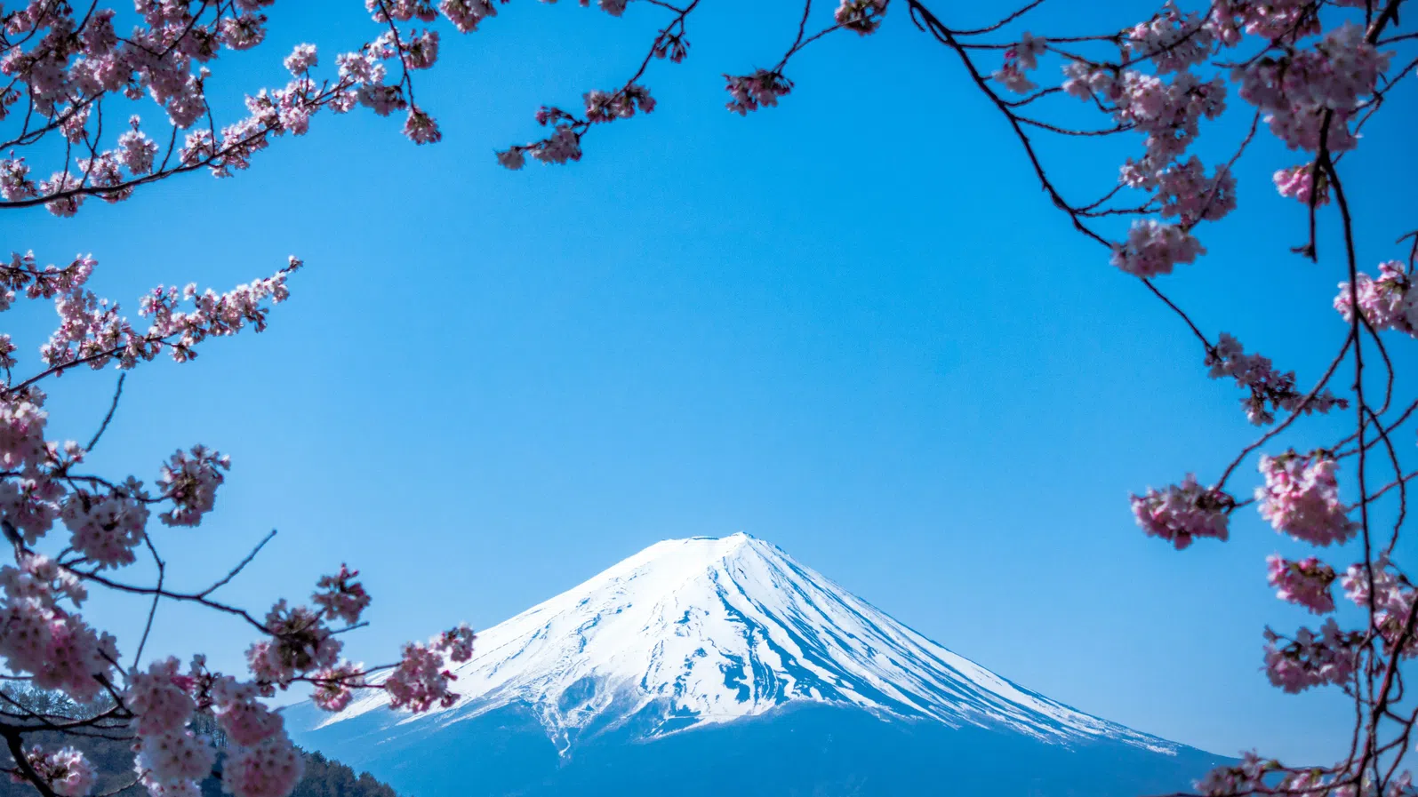 Гледката, която струва твърде скъпо: Япония се изправя срещу ефекта на масовия туризъм