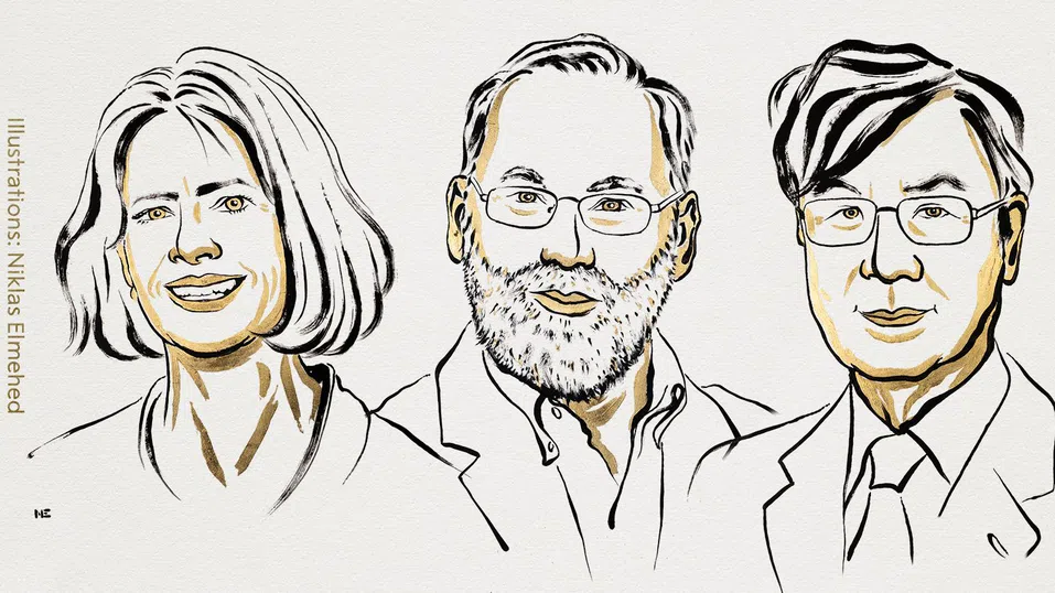 Нобеловата награда за медицина 2025 отива при учени, идентифицирали как работят Т-клетките в имунната система