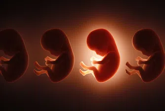 Да предскажеш IQ-то на ембрион: Новото съмнително обещание на генетичните стартъпи