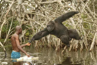 Плодове на еволюцията: Как гладът е изправил човека на два крака