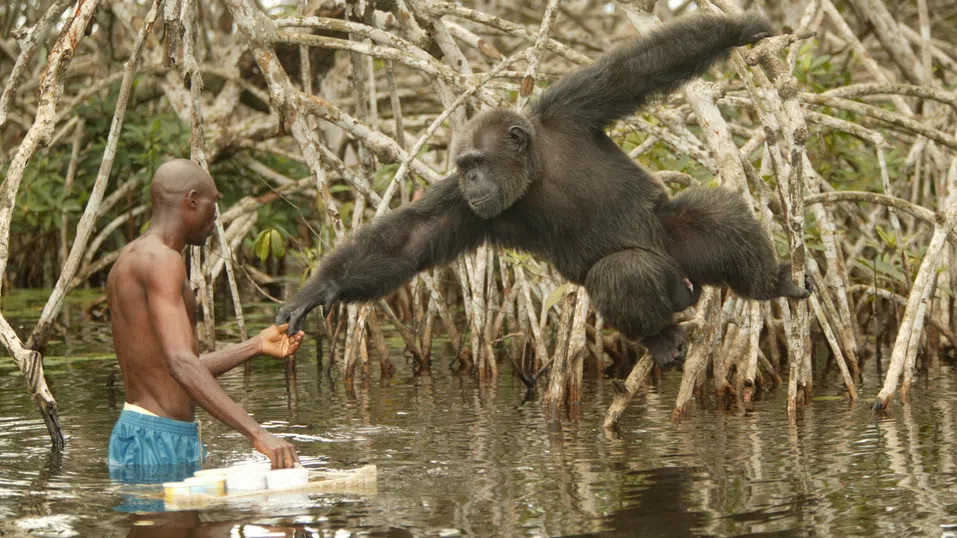 Плодове на еволюцията: Как гладът е изправил човека на два крака