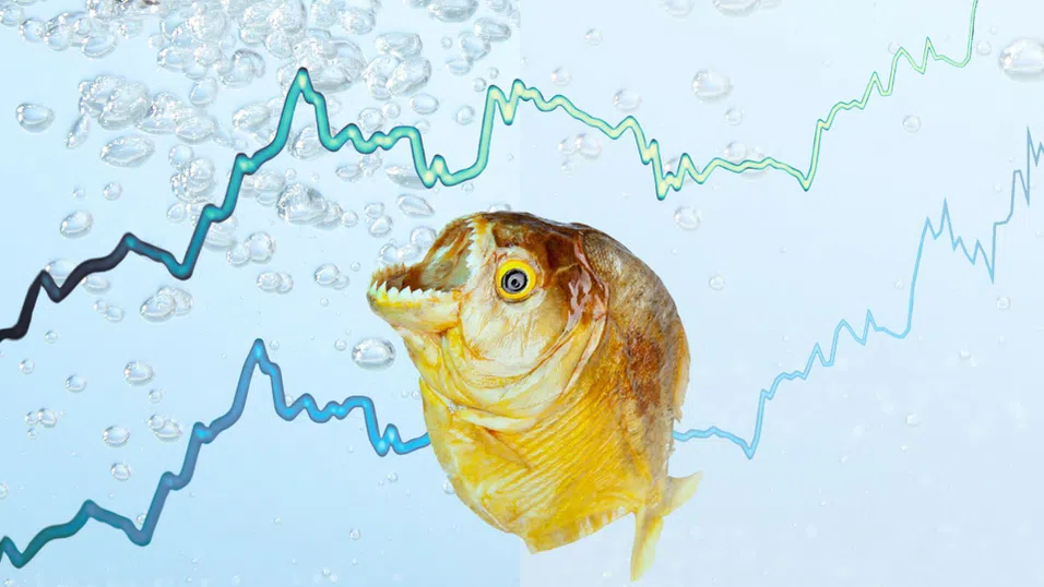 Гръцката борса е сред водещите ръста на европейските пазари