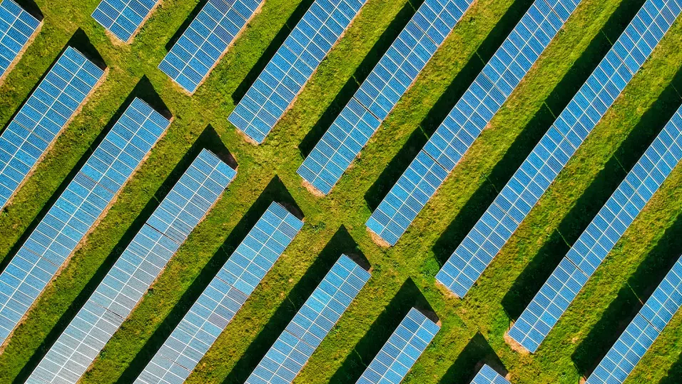 Да грейнеш от отвъдното: Валенсия трансформира гробищата си в слънчеви ферми