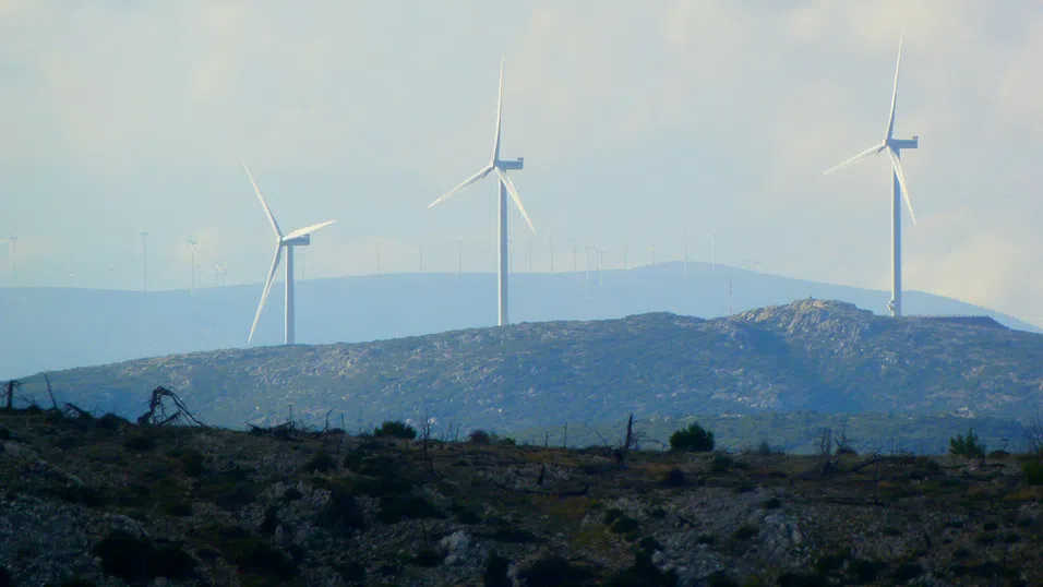 ESG инвестициите: Големите общания, малката възвращаемост