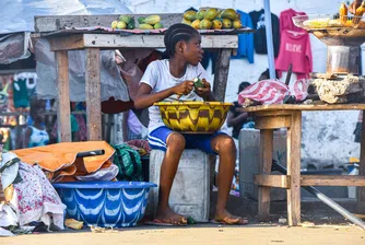 Нов доклад разкрива обезлесяване в „колосален мащаб“, трафик на хора и експлоатация на детски труд, призовавайки ЕС да действа и да спре да протака