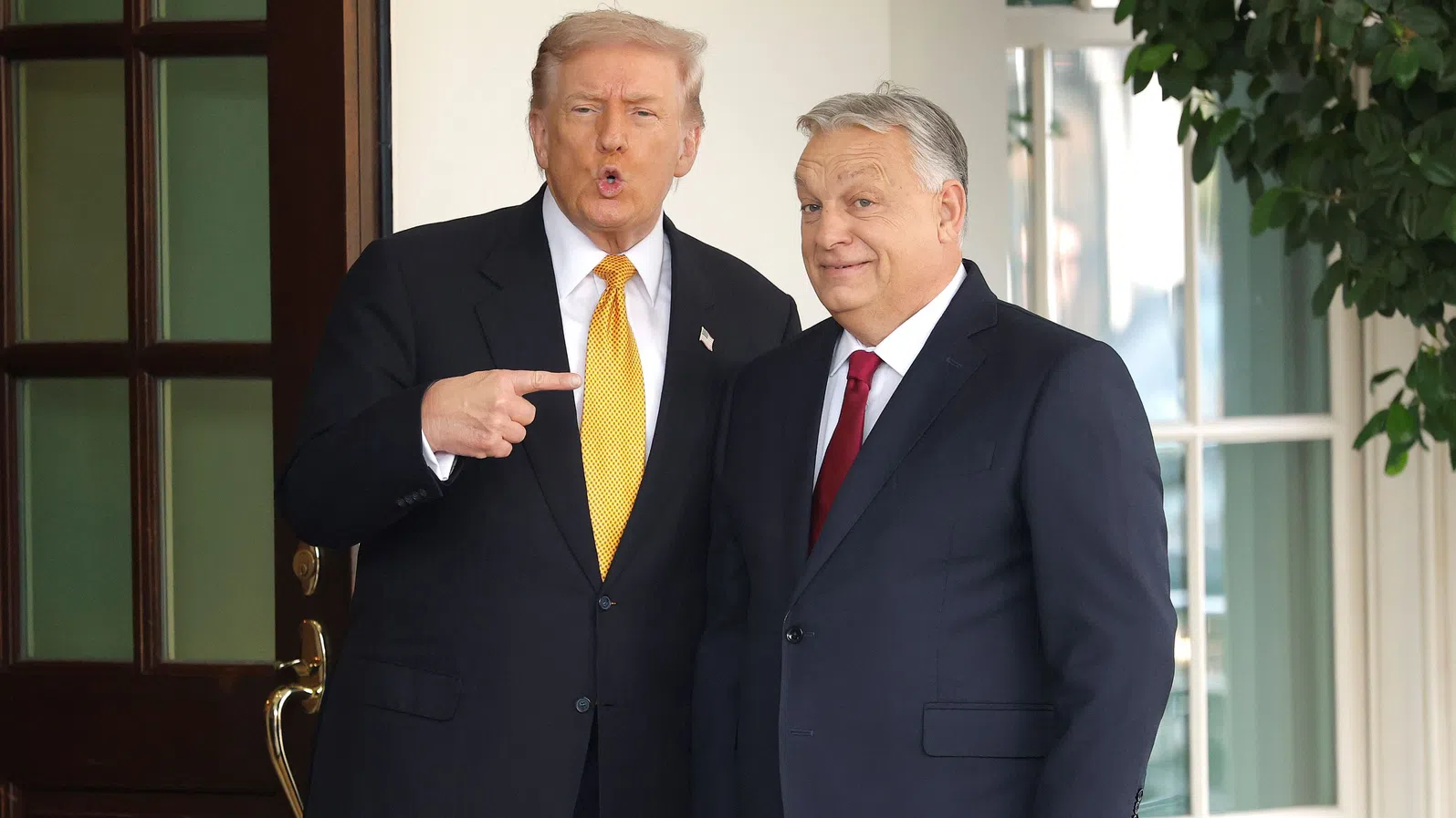 Орбан залага всичко на коза „MAGA“