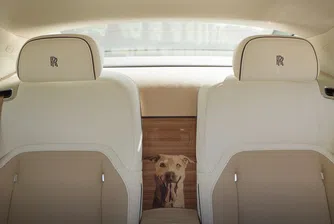 Портрет на кучето на седалката: Как се прави „персонализация“ на кола за милиони