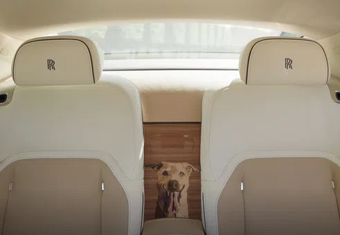 Портрет на кучето на седалката: Как се прави „персонализация“ на кола за милиони