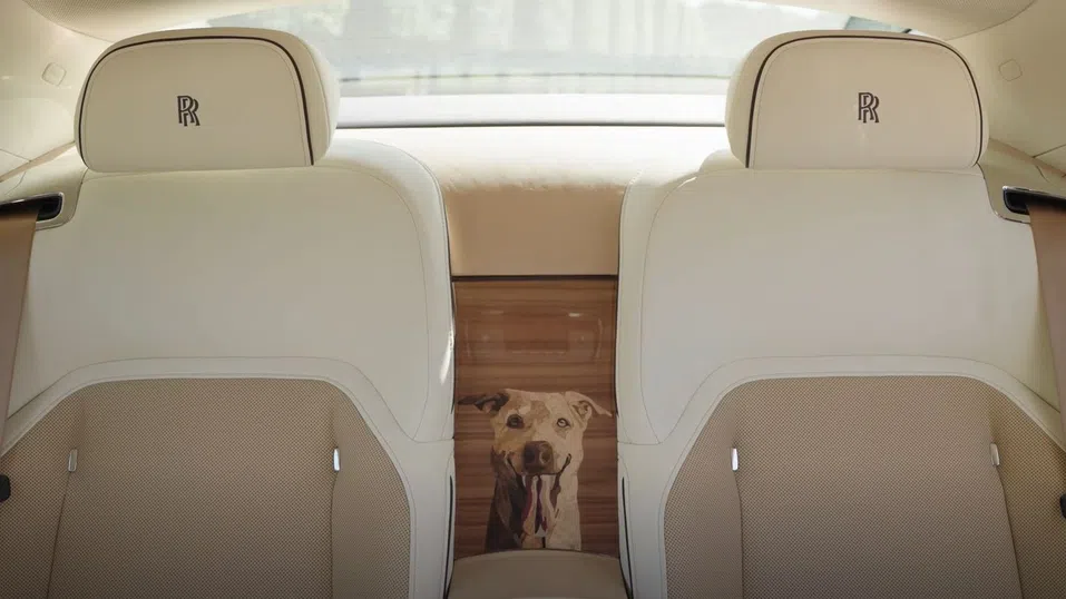 Портрет на кучето на седалката: Как се прави „персонализация“ на кола за милиони