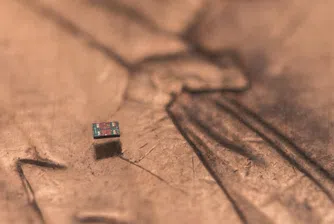 Роботите, по-малки от песъчинка, вече са реалност. За какво ще служат?