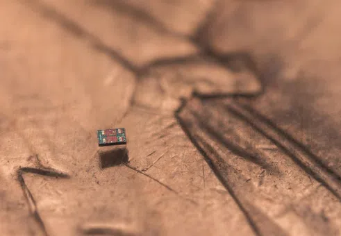 Роботите, по-малки от песъчинка, вече са реалност. За какво ще служат?