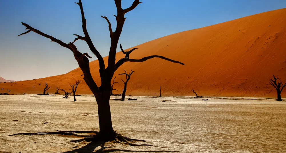 Западна Европа продължава да чупи рекорди като най-бързо затоплящия се континент