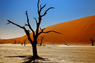 Рекорден юни повишава средното затопляне за региона до 2,8 °C над нивата от 1991-2020 г.