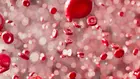Учени разработват инструмент с AI, който открива признаци на стареене в кръвните клетки