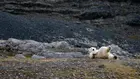 Битката за влияние в Арктика вече не се води само за Гренландия