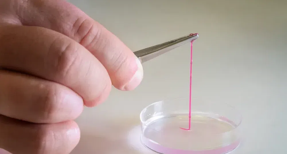 Учени създават 3D принтирана кожа с работеща кръвоносна система