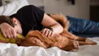 Дори слабата светлина по време на сън може да е натоварваща за сърцето